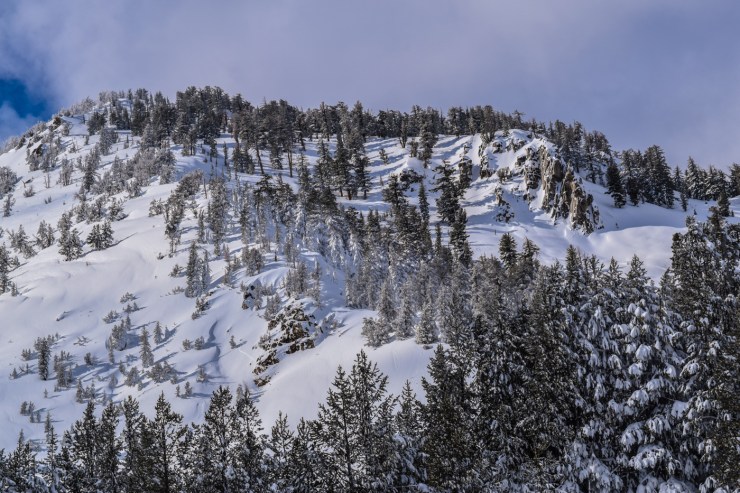 incline-peak-w-lindsay